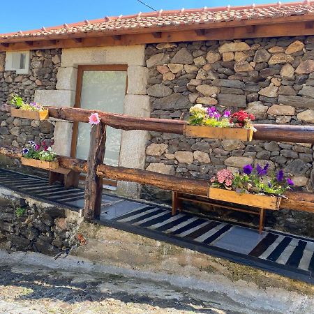 Casa Das Flores Lamego Ngoại thất bức ảnh