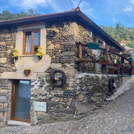 Casa Das Flores Lamego Ngoại thất bức ảnh