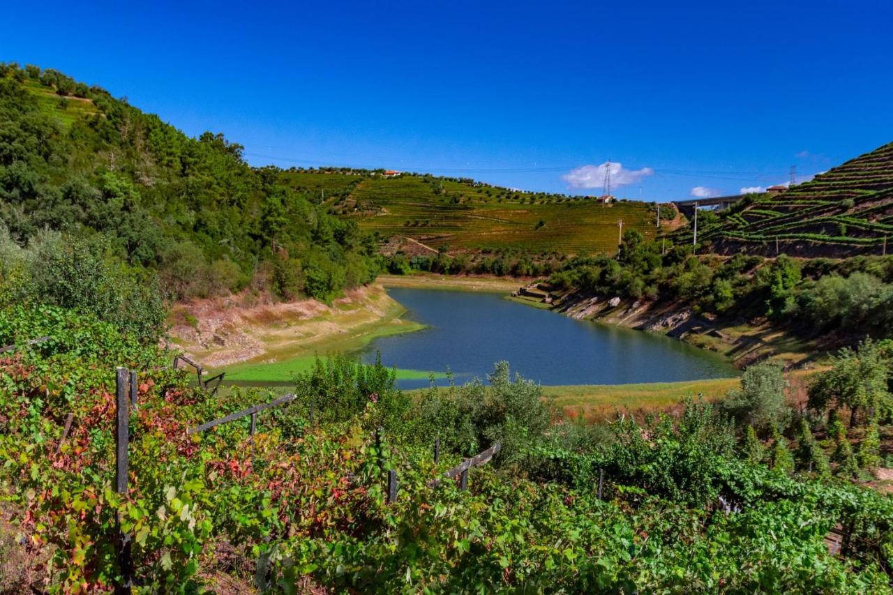 Casa Das Flores Lamego Ngoại thất bức ảnh