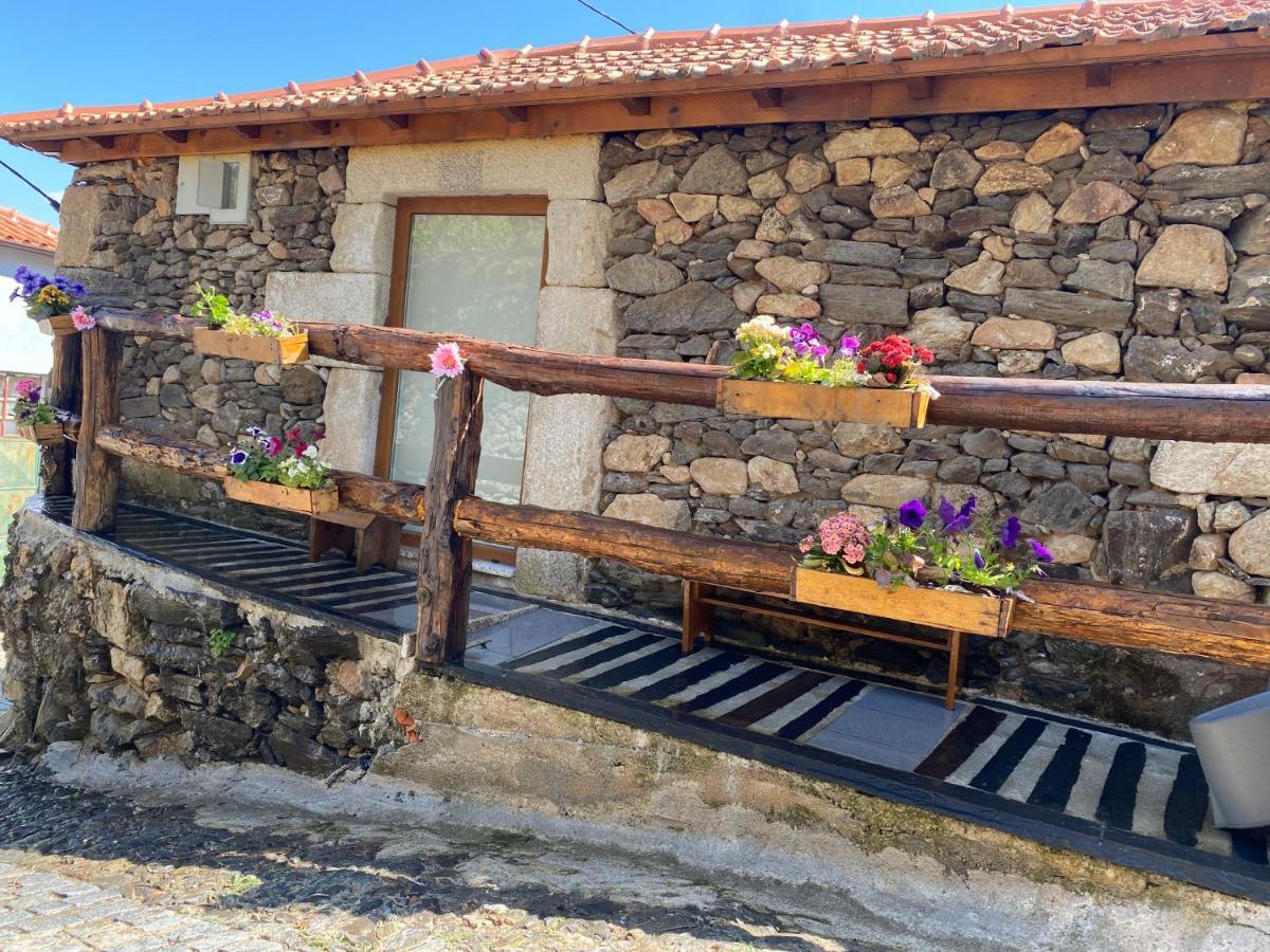 Casa Das Flores Lamego Ngoại thất bức ảnh