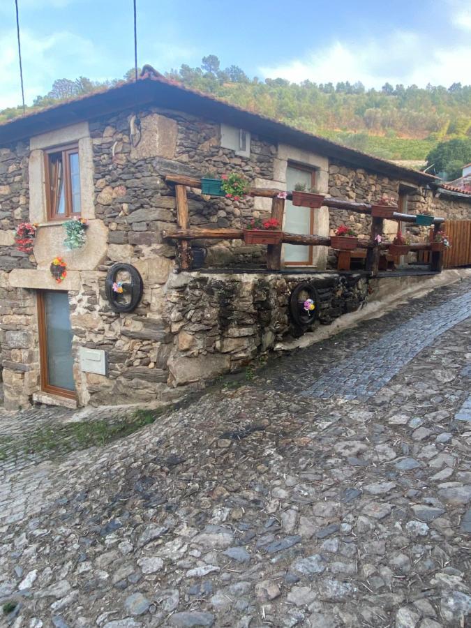 Casa Das Flores Lamego Ngoại thất bức ảnh